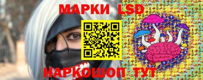 spice Кимры