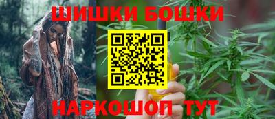 индика Кингисепп