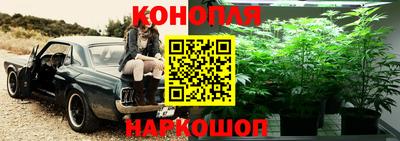 индика Кингисепп
