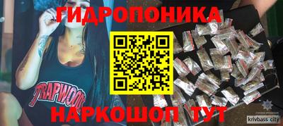 индика Кингисепп