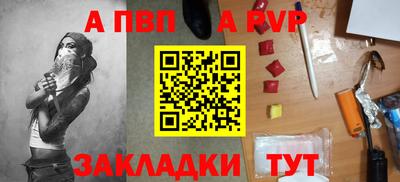 индика Кингисепп