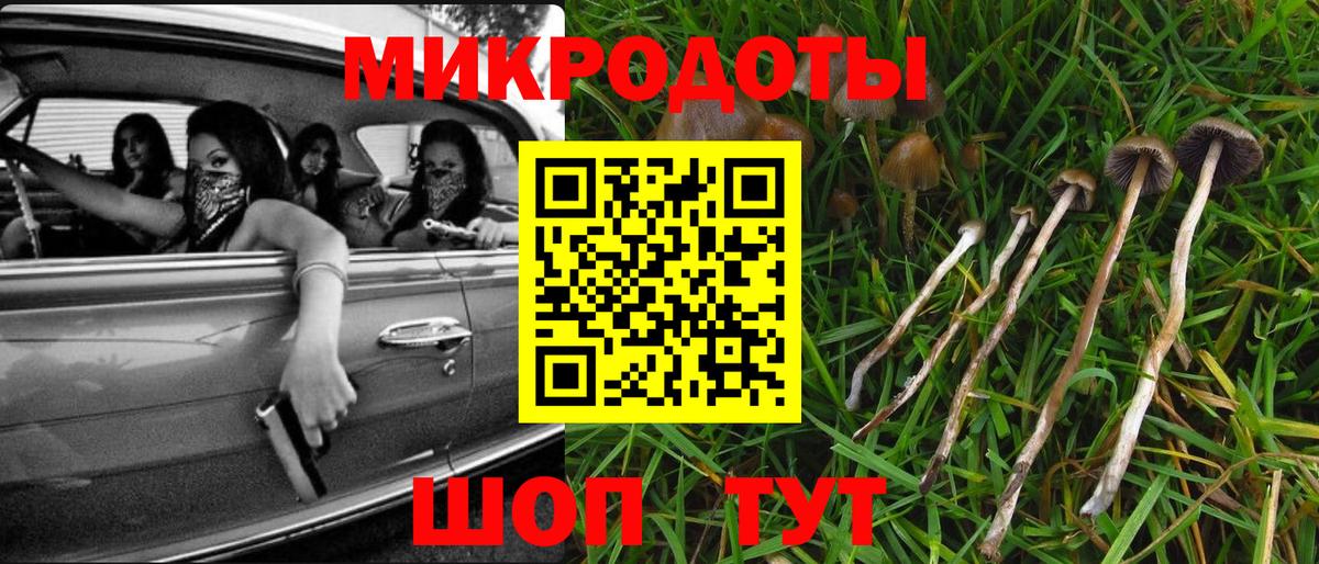 Псилоцибиновые грибы прущие грибы  Псилоцибиновые грибы Magic Shrooms  купить закладку  Вход с VPN  Кудымкар 