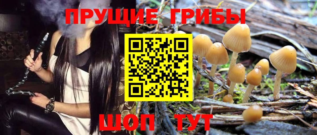 Галлюциногенные грибы Cubensis Кудымкар